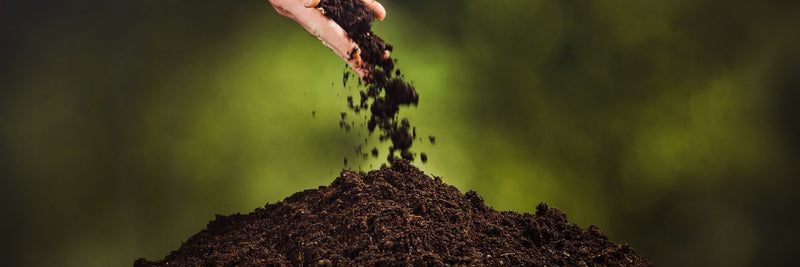 Soils &amp; Mulches