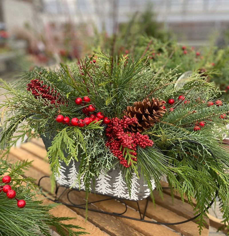 WORKSHOP - Fresh Festive Arrangement